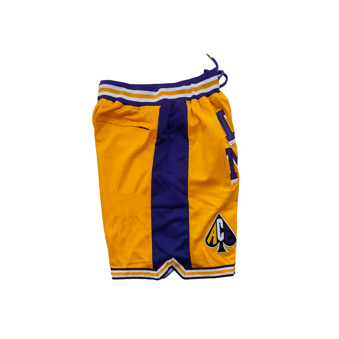 Lower Merion Vintage Shorts - Yellow/Purple